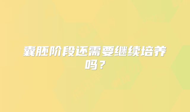 囊胚阶段还需要继续培养吗?