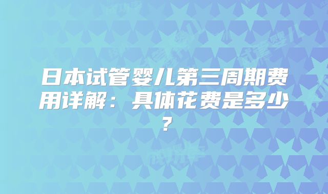 日本试管婴儿第三周期费用详解：具体花费是多少？