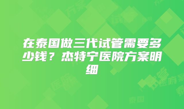 在泰国做三代试管需要多少钱?杰特宁医院方案明细