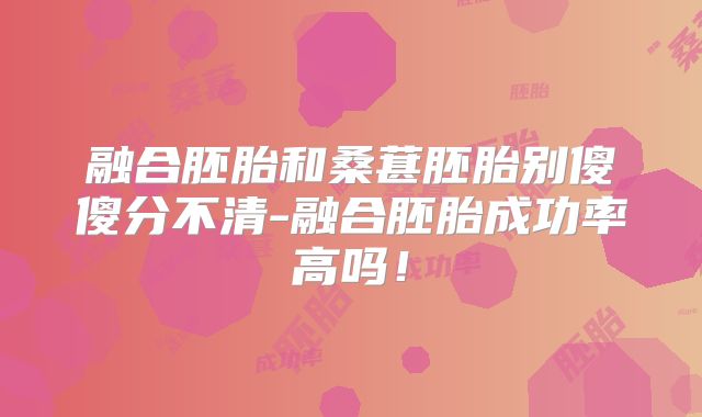 融合胚胎和桑葚胚胎别傻傻分不清-融合胚胎成功率高吗！
