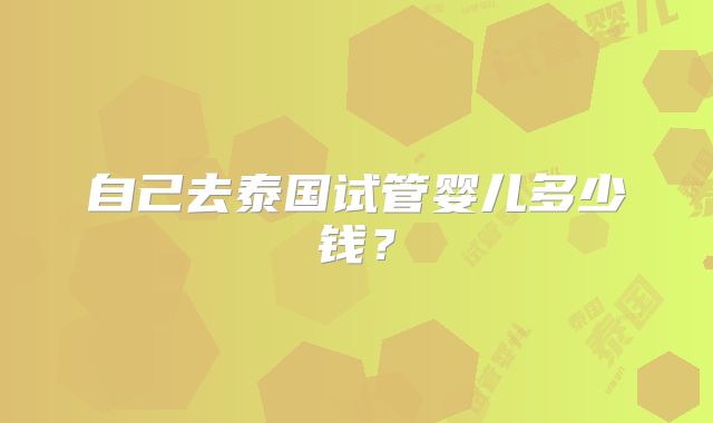 自己去泰国试管婴儿多少钱？