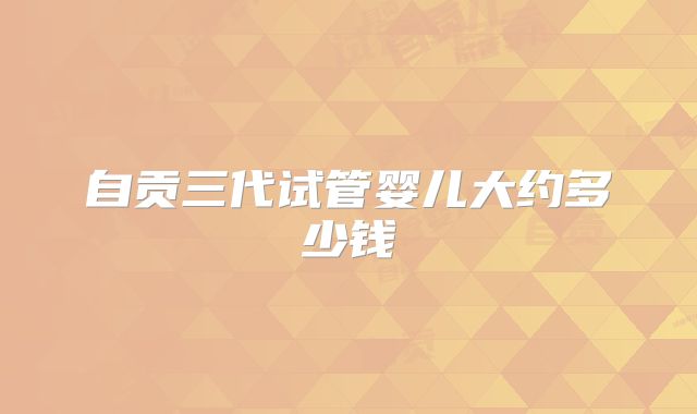 自贡三代试管婴儿大约多少钱