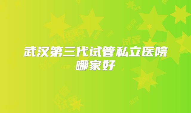 武汉第三代试管私立医院哪家好