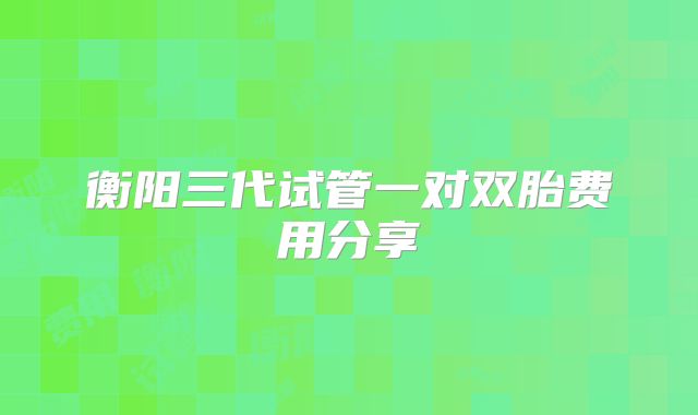 衡阳三代试管一对双胎费用分享