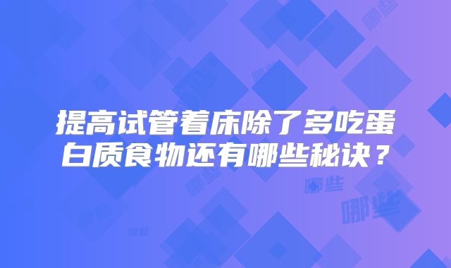 提高试管着床除了多吃蛋白质食物还有哪些秘诀?