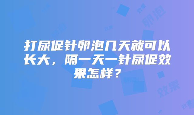打尿促针卵泡几天就可以长大，隔一天一针尿促效果怎样？