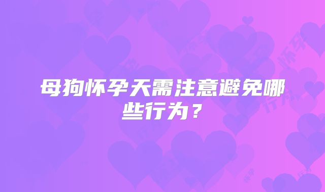 母狗怀孕天需注意避免哪些行为?