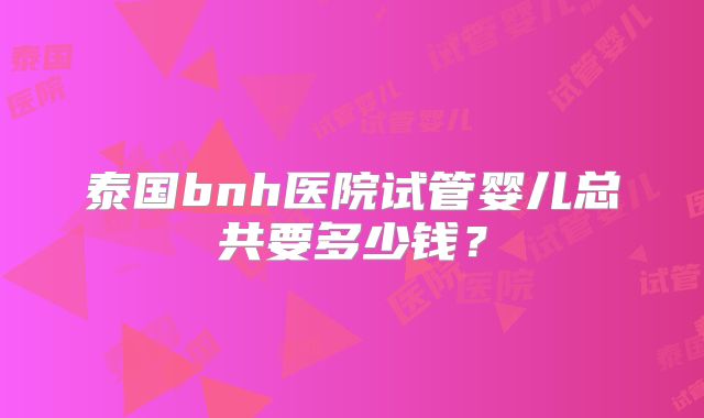泰国bnh医院试管婴儿总共要多少钱?