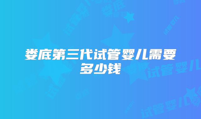 娄底第三代试管婴儿需要多少钱