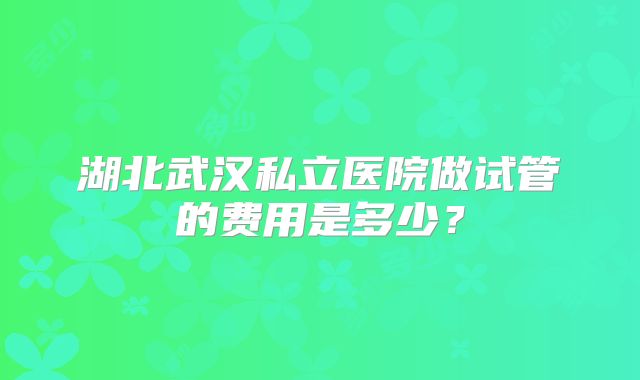湖北武汉私立医院做试管的费用是多少？