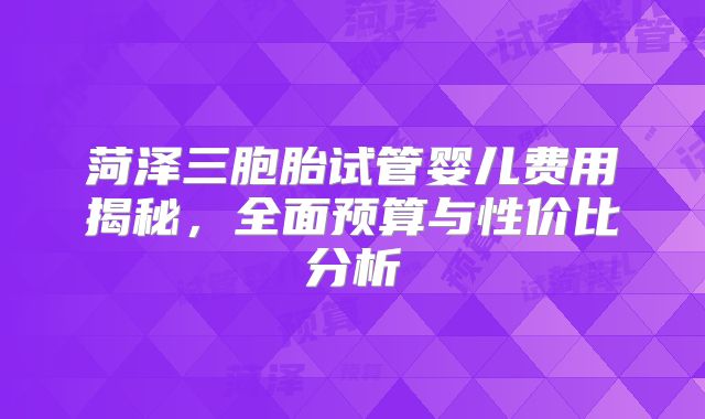 菏泽三胞胎试管婴儿费用揭秘，全面预算与性价比分析