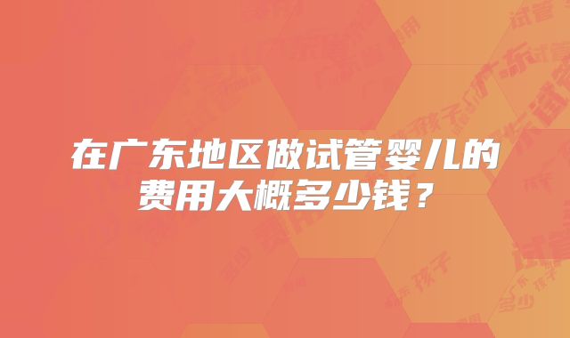 在广东地区做试管婴儿的费用大概多少钱？