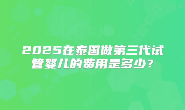 2025在泰国做第三代试管婴儿的费用是多少?