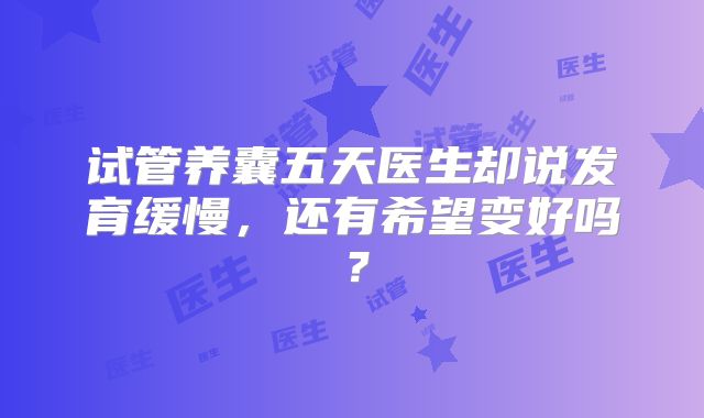 试管养囊五天医生却说发育缓慢,还有希望变好吗?