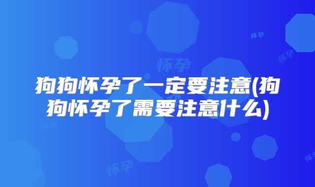 狗狗怀孕了一定要注意(狗狗怀孕了需要注意什么)