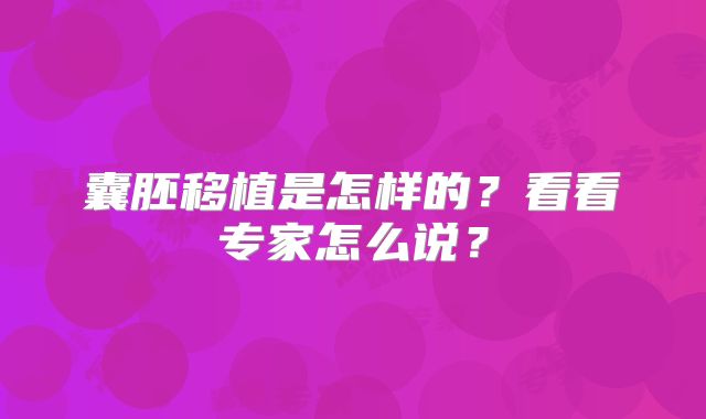 囊胚移植是怎样的？看看专家怎么说？