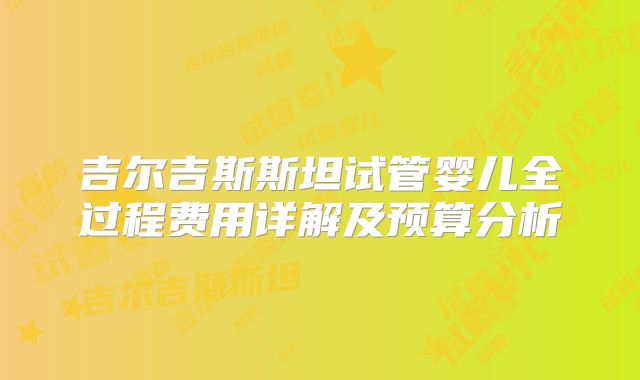 吉尔吉斯斯坦试管婴儿全过程费用详解及预算分析