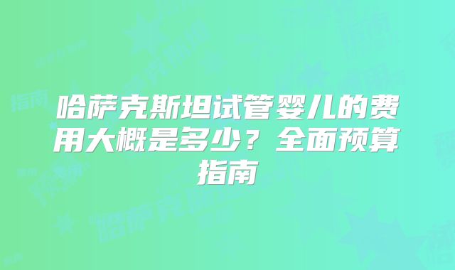哈萨克斯坦试管婴儿的费用大概是多少？全面预算指南
