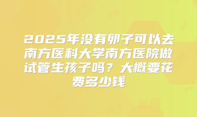2025年没有卵子可以去南方医科大学南方医院做试管生孩子吗?大概要花费多少钱