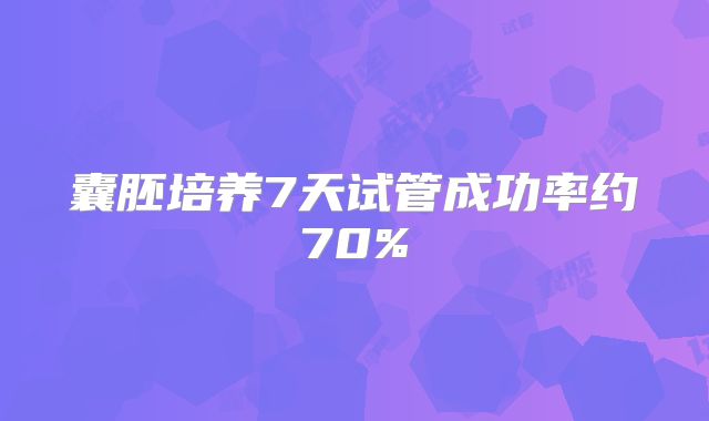 囊胚培养7天试管成功率约70%