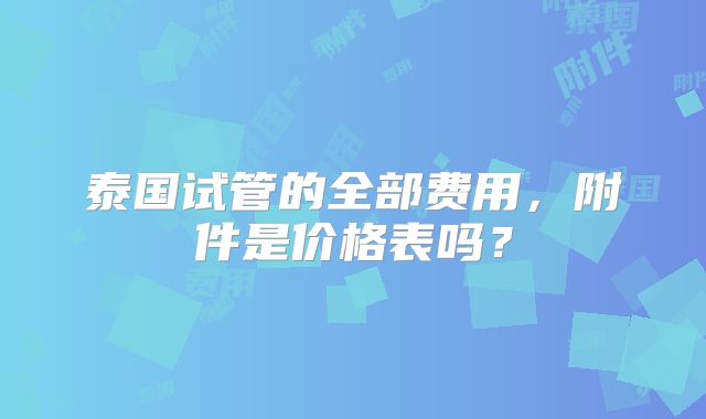 泰国试管的全部费用,附件是价格表吗?