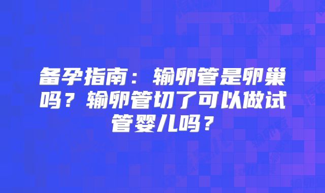 备孕指南：输卵管是卵巢吗？输卵管切了可以做试管婴儿吗？