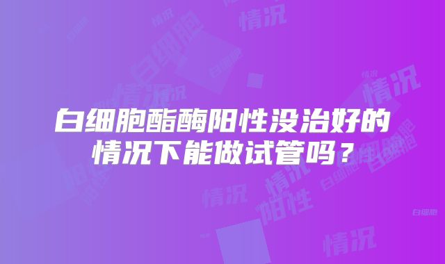 白细胞酯酶阳性没治好的情况下能做试管吗？