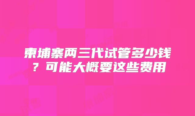 柬埔寨两三代试管多少钱?可能大概要这些费用