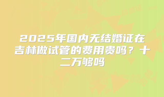 2025年国内无结婚证在吉林做试管的费用贵吗?十二万够吗