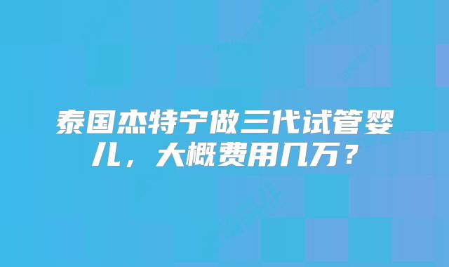 泰国杰特宁做三代试管婴儿，大概费用几万？