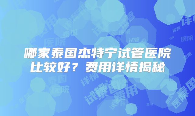 哪家泰国杰特宁试管医院比较好？费用详情揭秘