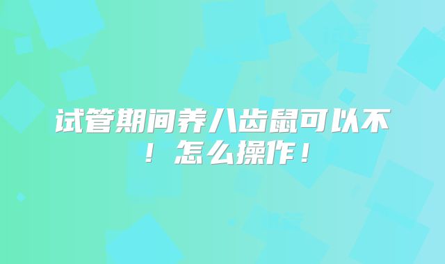 试管期间养八齿鼠可以不!怎么操作!