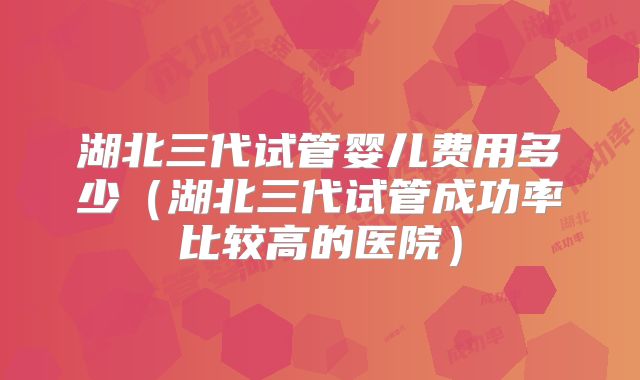 湖北三代试管婴儿费用多少（湖北三代试管成功率比较高的医院）