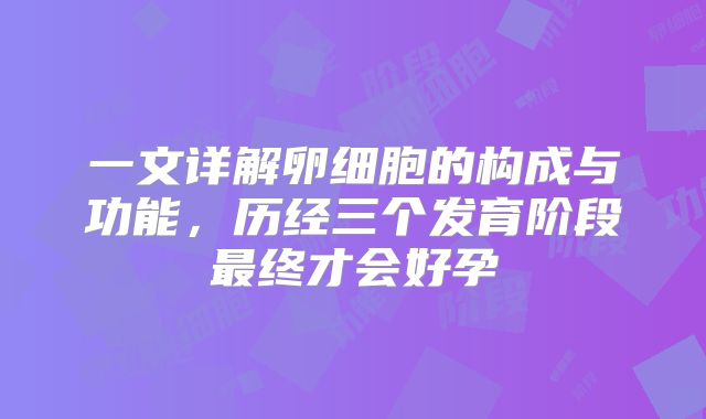 一文详解卵细胞的构成与功能,历经三个发育阶段最终才会好孕