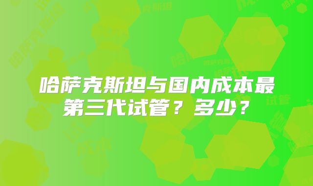 哈萨克斯坦与国内成本最第三代试管？多少？
