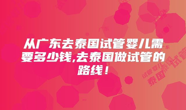 从广东去泰国试管婴儿需要多少钱,去泰国做试管的路线!