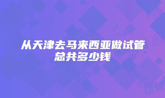 从天津去马来西亚做试管总共多少钱