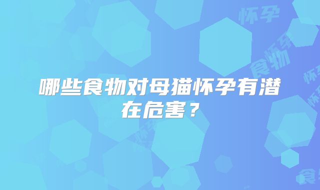哪些食物对母猫怀孕有潜在危害？
