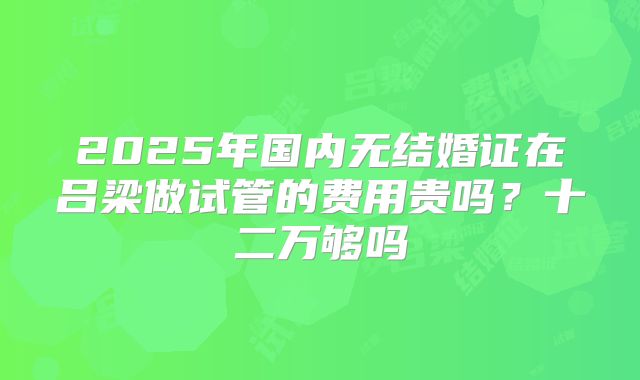 2025年国内无结婚证在吕梁做试管的费用贵吗？十二万够吗
