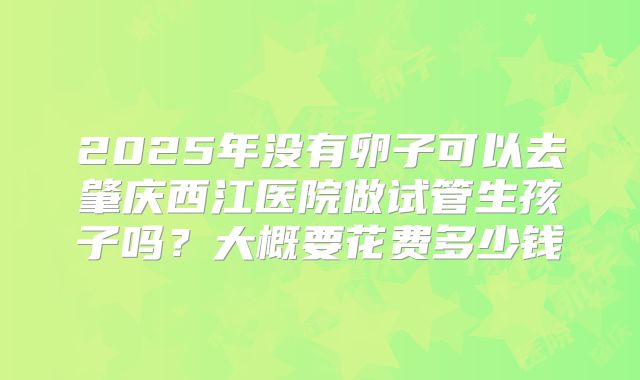 2025年没有卵子可以去肇庆西江医院做试管生孩子吗?大概要花费多少钱