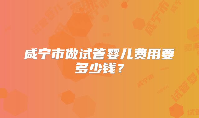 咸宁市做试管婴儿费用要多少钱？
