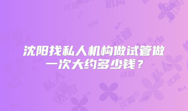 沈阳找私人机构做试管做一次大约多少钱？