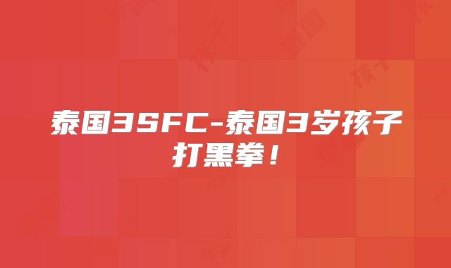 泰国3SFC-泰国3岁孩子打黑拳!