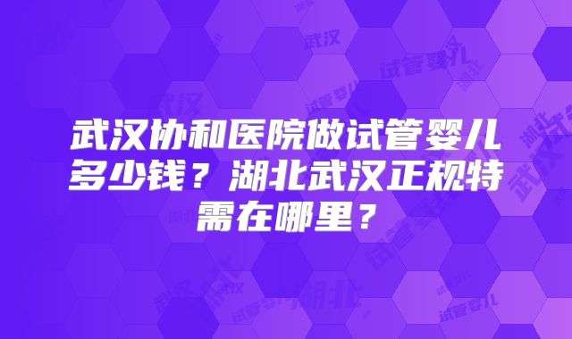 武汉协和医院做试管婴儿多少钱？湖北武汉正规特需在哪里？