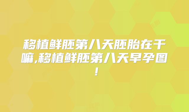 移植鲜胚第八天胚胎在干嘛,移植鲜胚第八天早孕图！