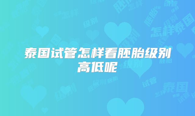 泰国试管怎样看胚胎级别高低呢
