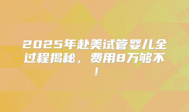 2025年赴美试管婴儿全过程揭秘,费用8万够不!