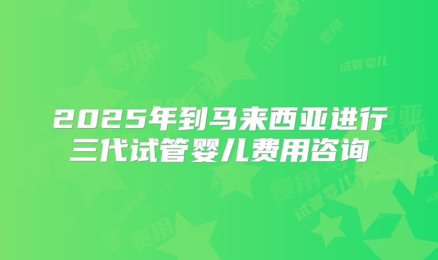 2025年到马来西亚进行三代试管婴儿费用咨询