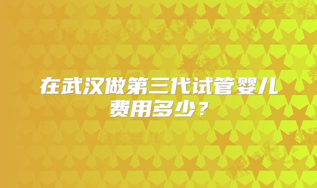 在武汉做第三代试管婴儿费用多少？
