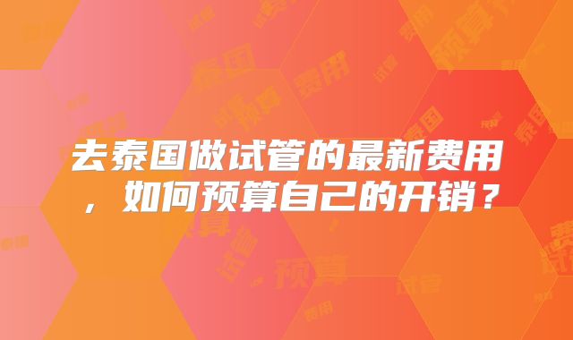 去泰国做试管的最新费用，如何预算自己的开销？